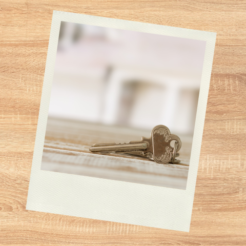Can You Really Copy a Key from a Picture? MiniFob