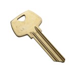 gold LA blank key copy